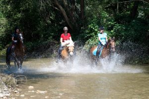 Wasserspaß mit unseren Pferden