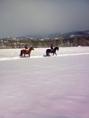 Ritt im Schnee